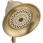 2007-ADEXSilverWinner-WaterEfficientShowerHead.jpg
