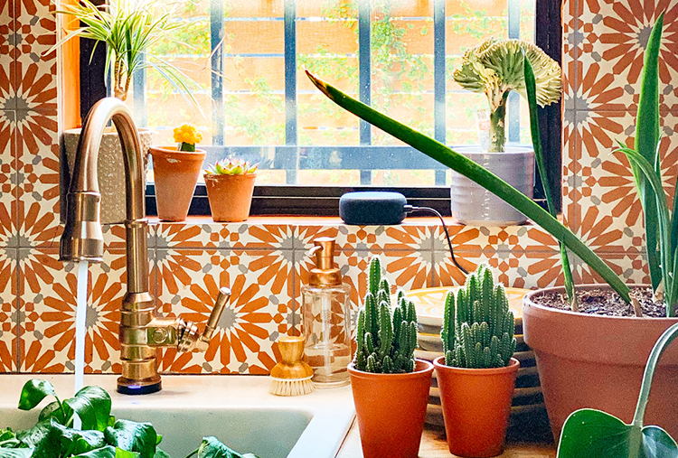 bright colorful kitchen