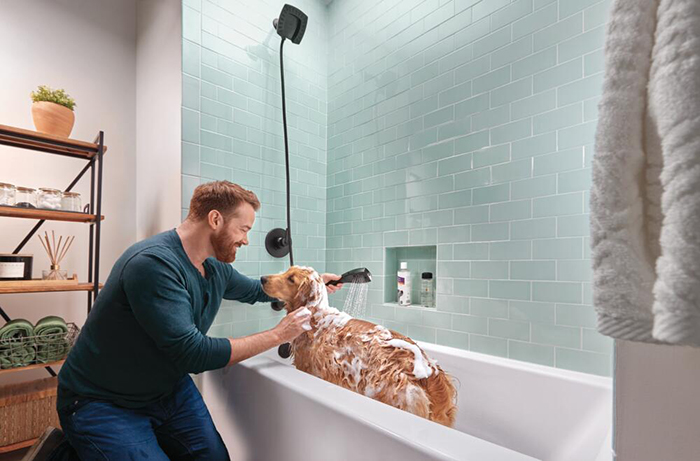 No More Dog Smell In2ition