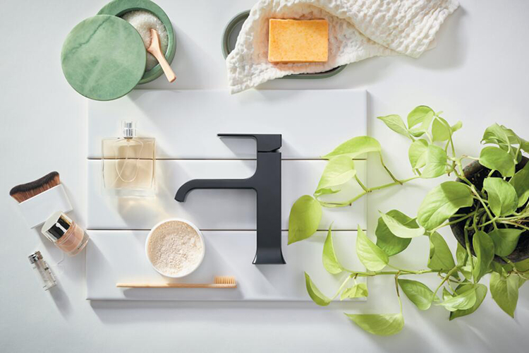 IL Plants In the Bathroom