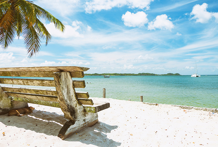 IL 3 Beachy Bathrooms