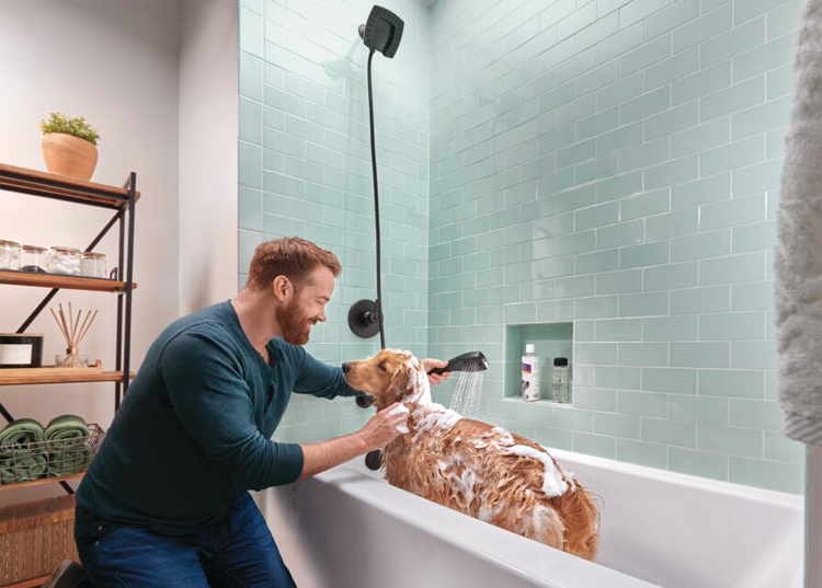 In2ition Shower