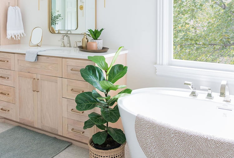 Beach House Style ksneeddesigns