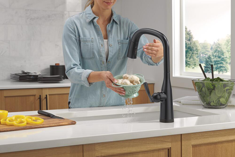 Delta Touch2O Technology