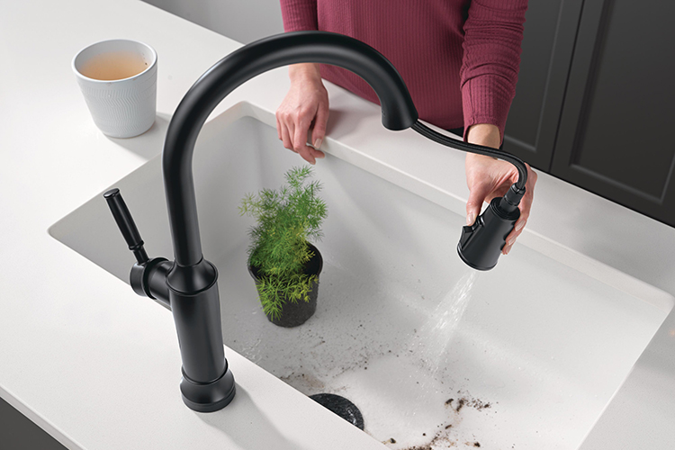 Keep Your Sink Clean with Renaldi