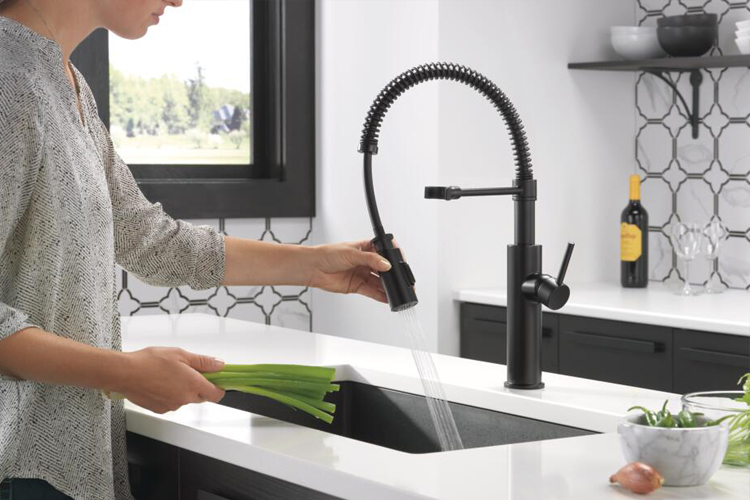 Antoni Spring Kitchen Faucet