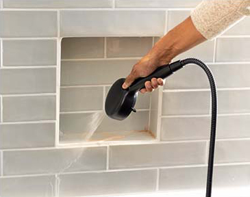 Proclean on shower shelf