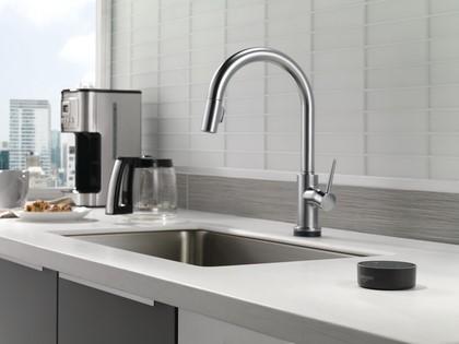 Delta Faucet Homeowner Index Shows Spike in Remodel Budgets